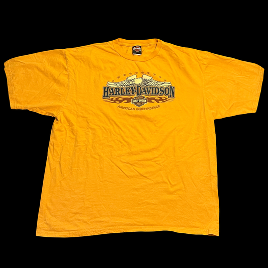 (3XL) harley davidson heart of dixie tee