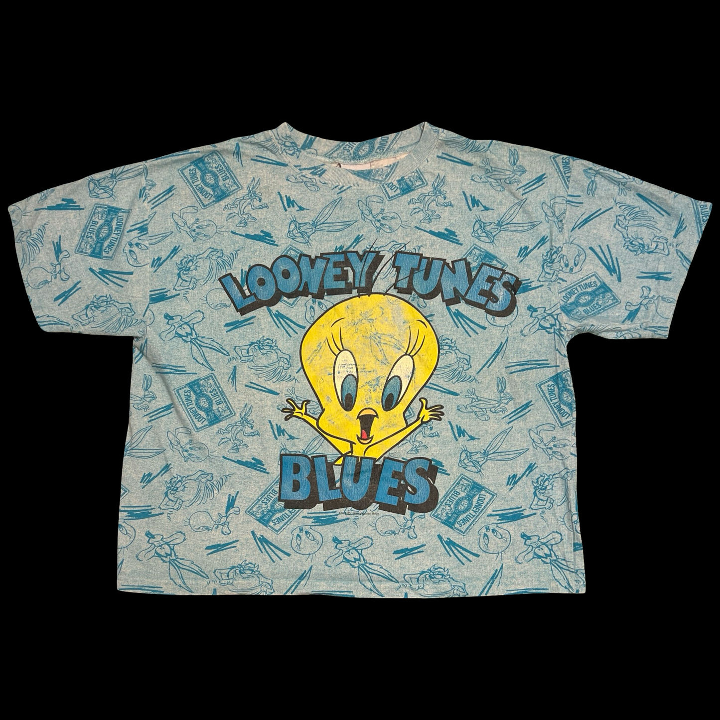 (M) 1998 tweety tee (boxy)